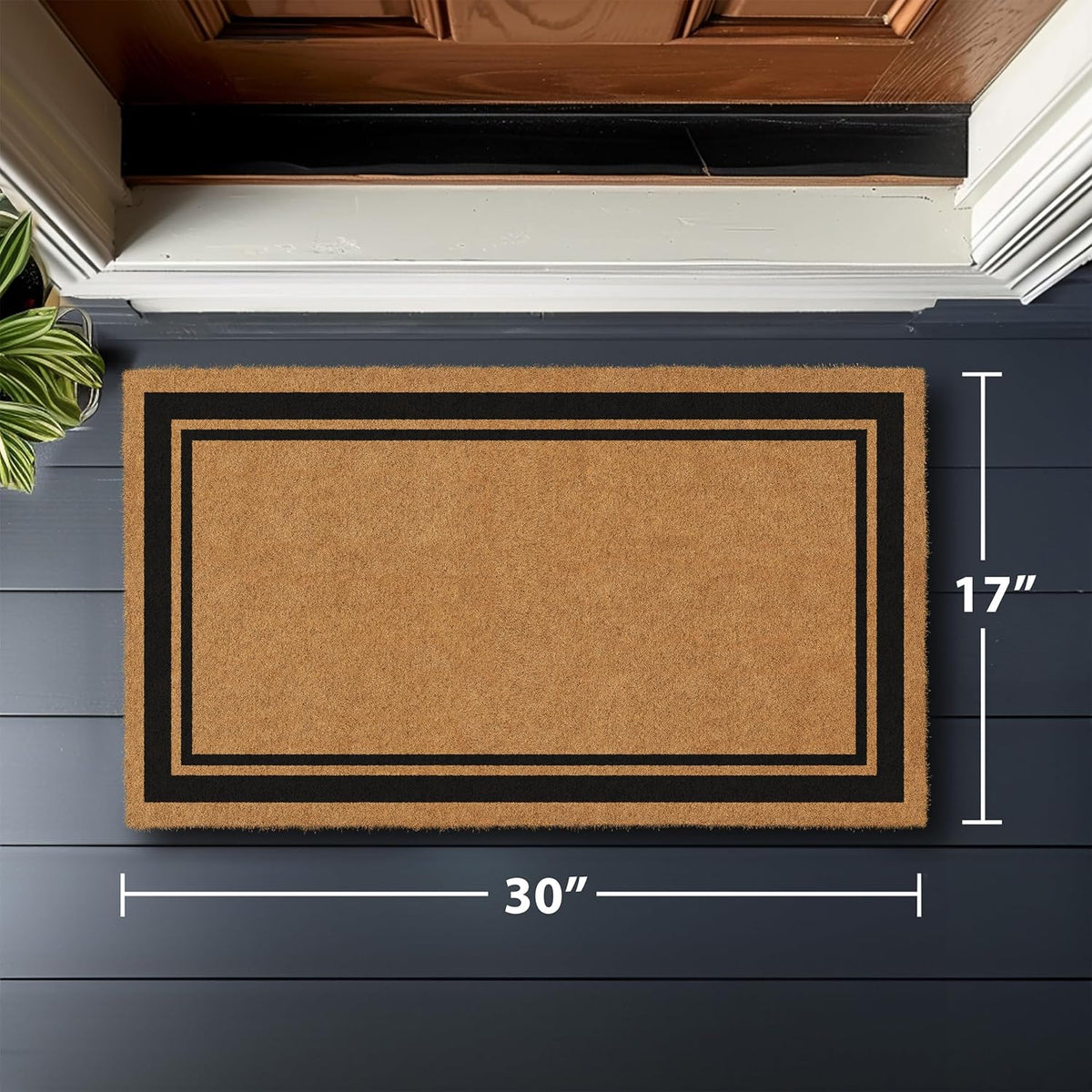 Border Coir Doormat